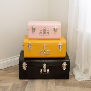 Storage Trunks - Pink Yellow And Black - MHRMS401_1