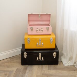 Storage Trunks - Pink Yellow And Black - MHRMS401_2